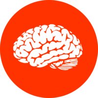 BRAINCITIES ® | Trust is our business. logo