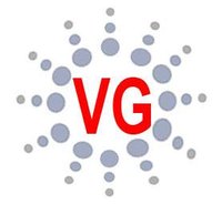 VG Comp Solution Pvt Ltd logo