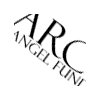 ARC Angel Fund - 