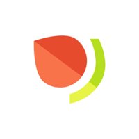 plumm logo