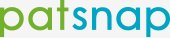Patsnap logo
