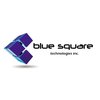 Blue Square Technologies -  health care education video games entertainment industry
