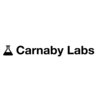 Carnaby Labs -  mobile marketplaces