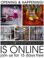 dailyshopwindow logo