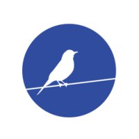 364616 217213709d104202fbe0b9cbfea644bb medium jpg