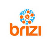 Brizi logo