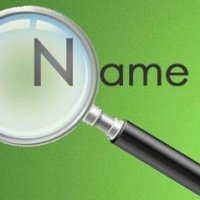Domenames logo