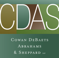 CDAS Venture Law Group logo