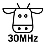 30MHz logo