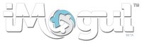 iMogul logo