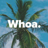 WhoaInc. logo