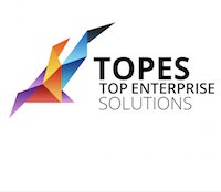 Top Enterprise Solutions logo