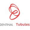 Dentinal Tubules -  dental professionals  dental practices University and educational institutions