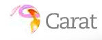 Carat Interactive logo