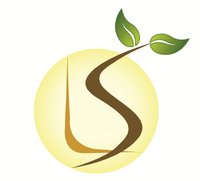 Longman Suntech Energy Pvt. Ltd logo