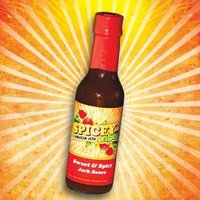 Spicey vibez logo