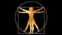 Davinci Distribution logo