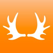 The Great Wild logo