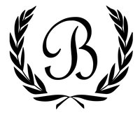 Bonzer Insurance Brokerage logo