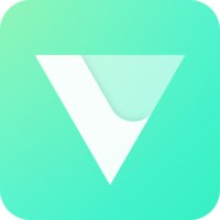 VeeR VR