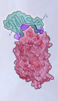 Soma Logic logo