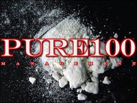 Pure 100 Management logo