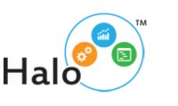 Halo Business Intelligence logo