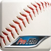 ProFile Sports LLC logo