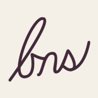 Brand New Ship logo