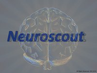 Neuroscout logo