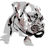 DOON LLC logo