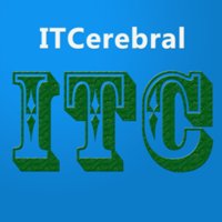 ITCerebral logo