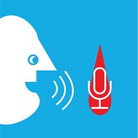 Diabetes Scribe logo