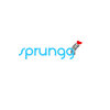 Sprungg  -  e-commerce online dating health and wellness