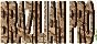 Brazilian Pro logo