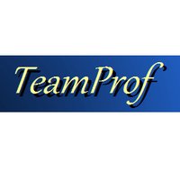 Team Professional logo
