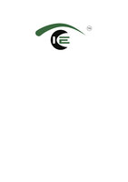 InfraEyes logo