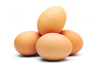 Sidewalk Eggs Productions, LLC. logo