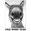 Loco Burro Films -  digital media film film production entertainment industry