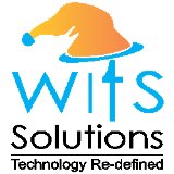 Wits Solutions logo
