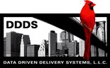 Data Driven Delivery System logo