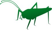 Park Evolve logo