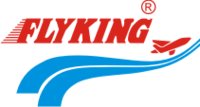 Flyking logo