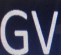 Green Value Inc. logo