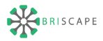 Briscape Corp. logo