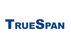 Truespan - Start Up Building Chips for Mobile Tv logo