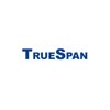 Truespan - Start Up Building Chips for Mobile Tv -  mobile