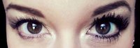 Hot Lashes Today logo