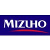 Mizuho Venture Capital - 