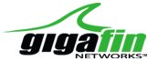 GigaFin Networks logo